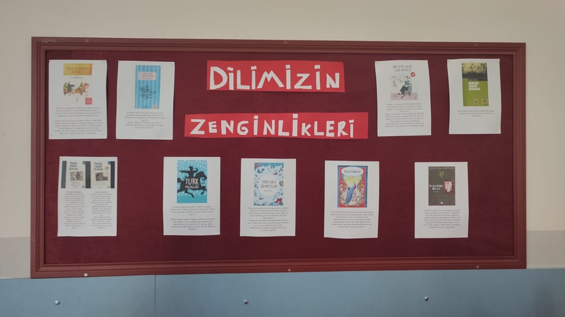 Dilimizin Zenginlikleri Projesi 